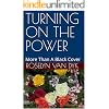 Turning On The Power — More Than A Book Cover by Roselyn Van Dyk